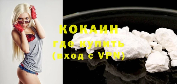 ПСИЛОЦИБИНОВЫЕ ГРИБЫ Корсаков