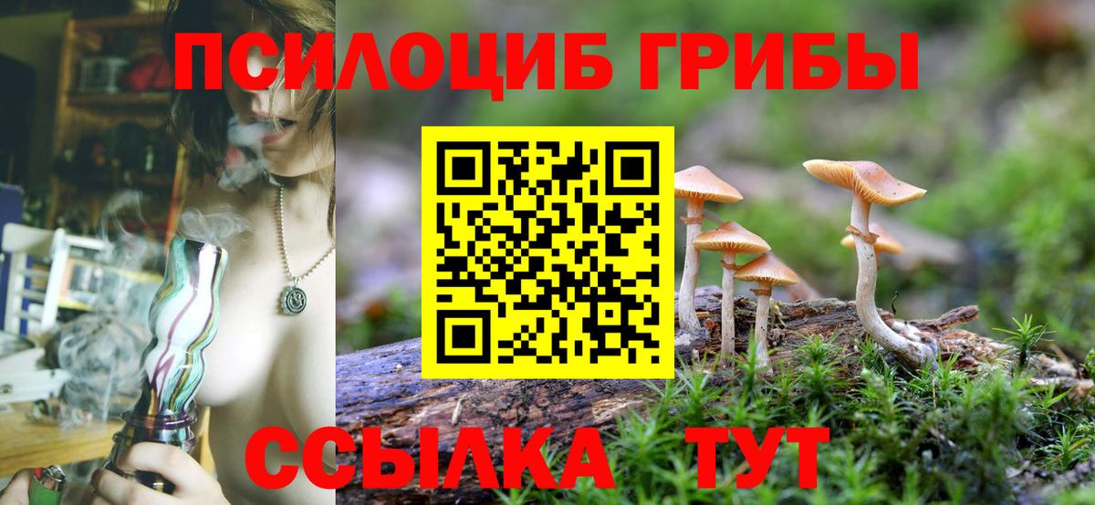 Псилоцибиновые грибы мицелий  Галлюциногенные грибы Psilocybe  Норильск  Вход с VPN 