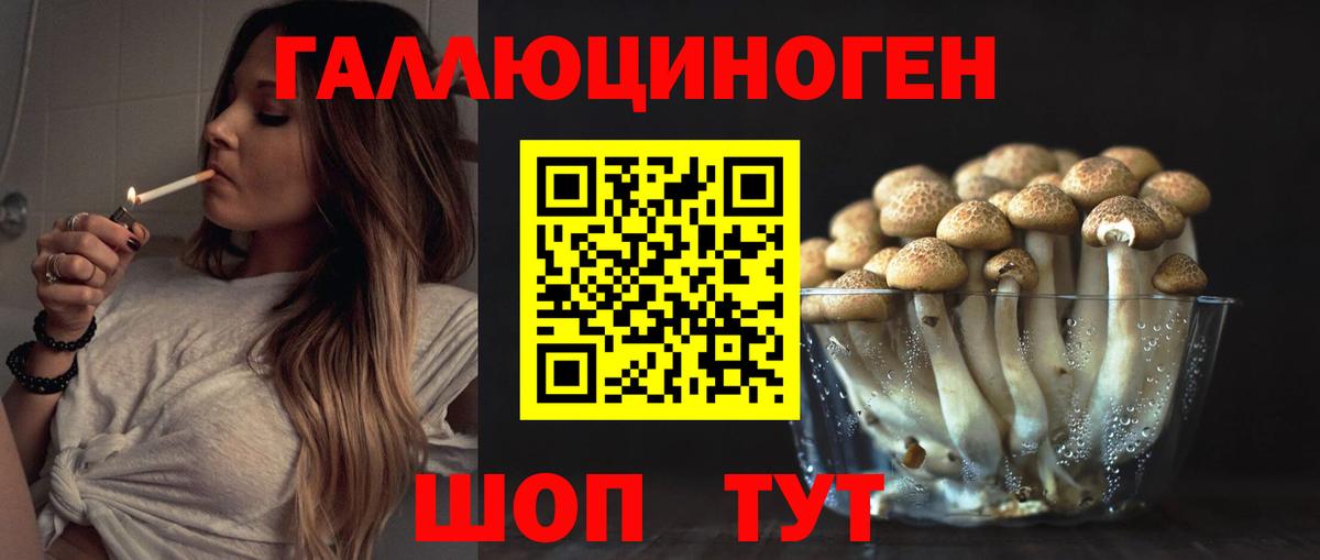 Галлюциногенные грибы Magic Shrooms Норильск